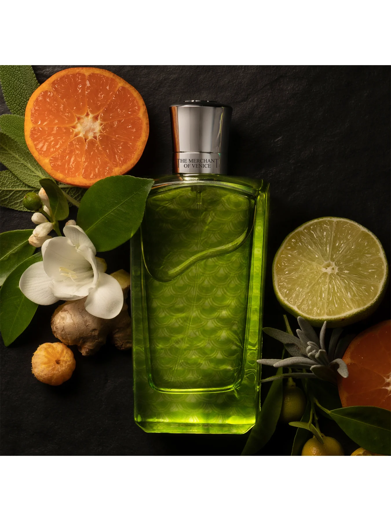 Colonia Veneziana Eau de Parfum 100ml - Image 3