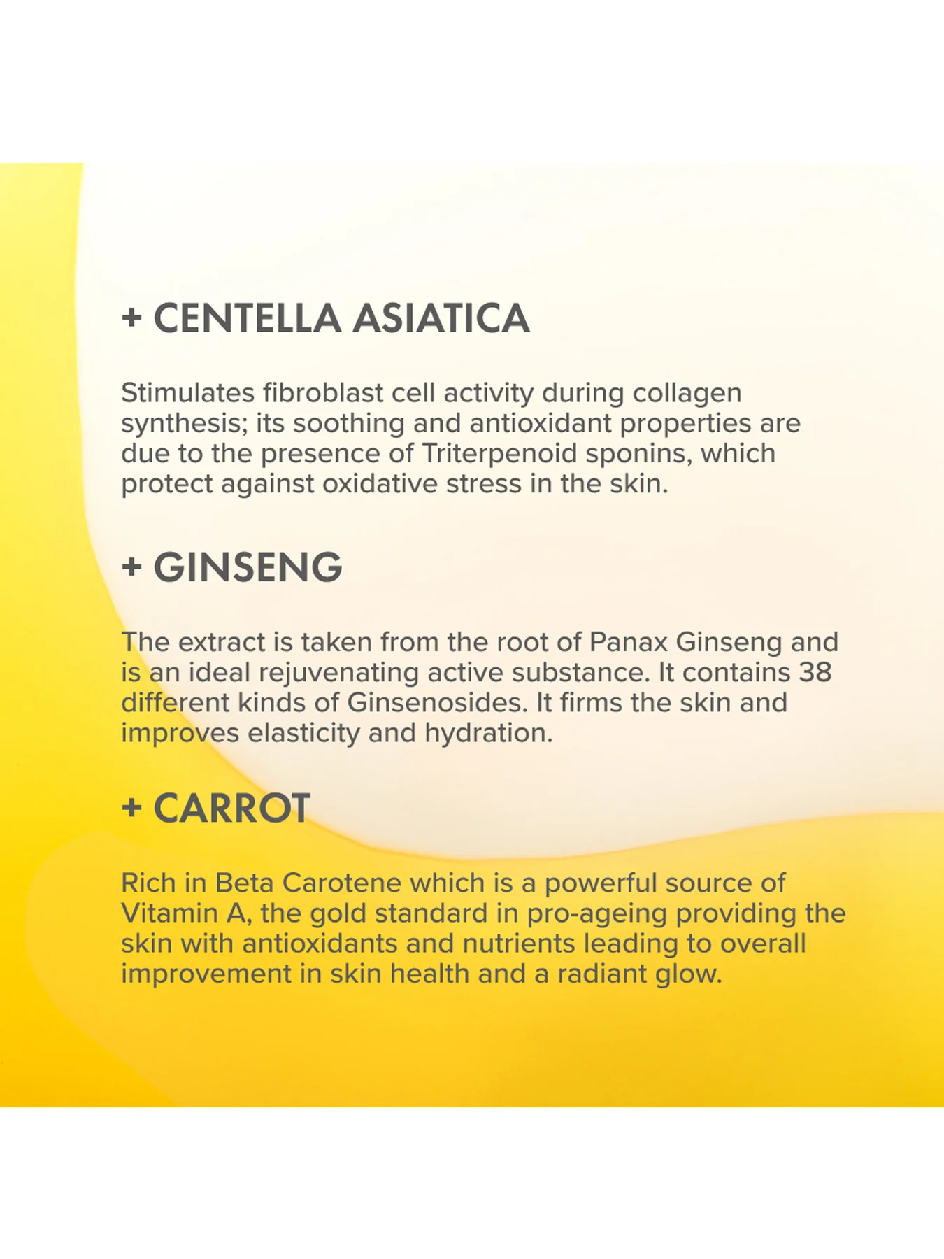 Antioxidant Face Duo - Image 3