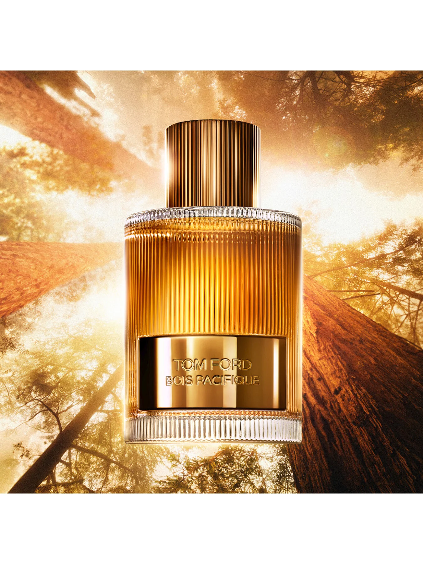 Bois Pacifique Eau de Parfum 100ml - Image 4