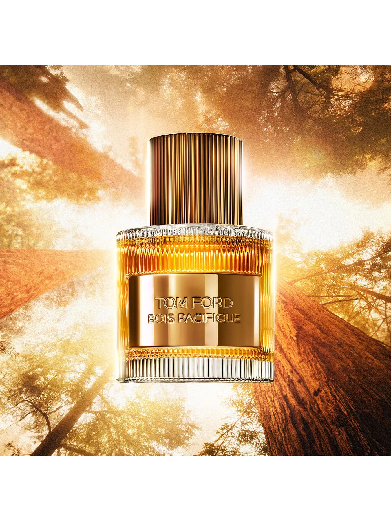 Bois Pacifique Eau de Parfum 50ml - Image 4
