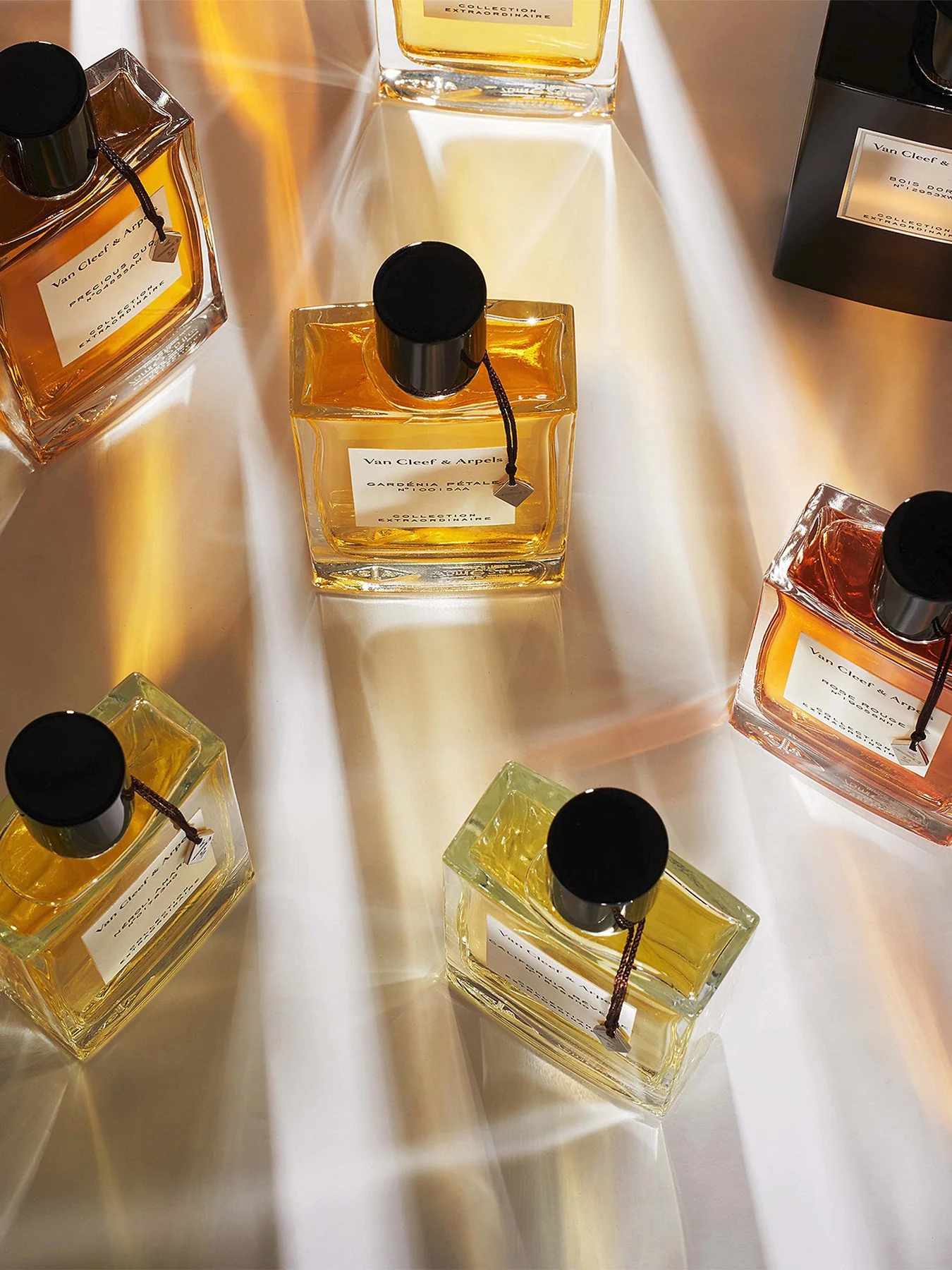 Precious Oud Eau de Parfum 75 ml - Image 4