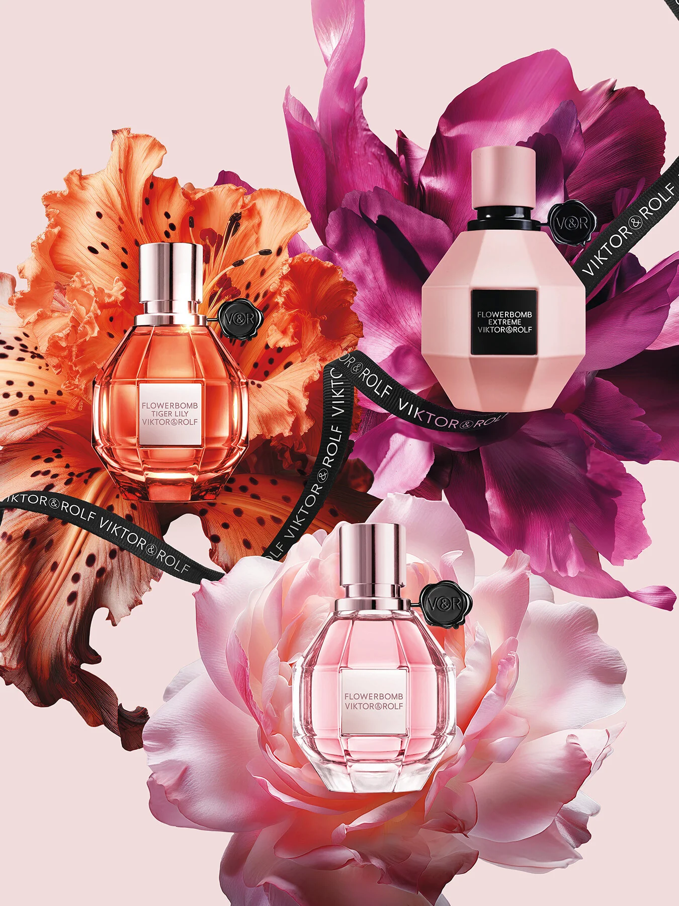 Flowerbomb Extreme Eau de Parfum Intense 50ml - Image 7