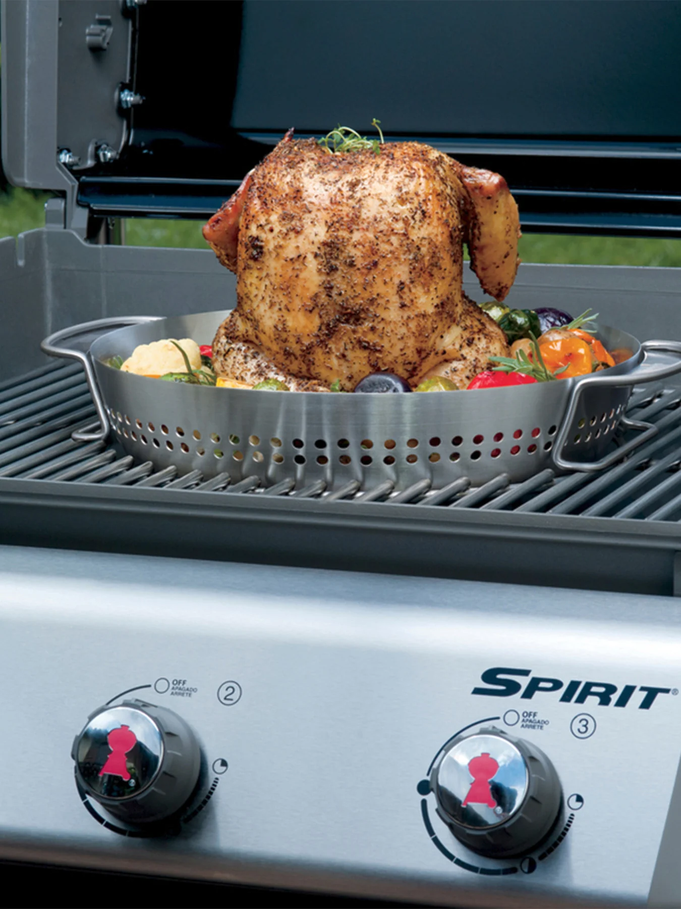 Poultry Roaster for Gourmet BBQ System - Image 6