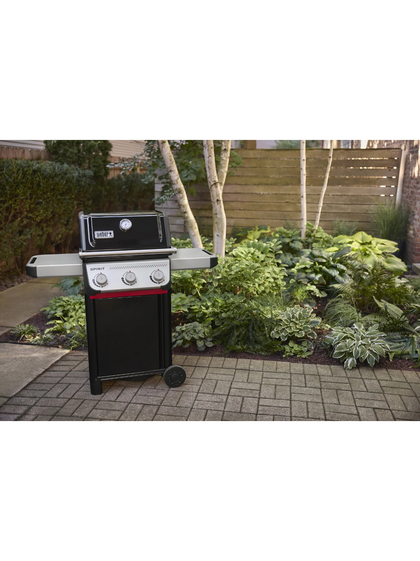 SPIRIT E-310 Gas BBQ - Image 3