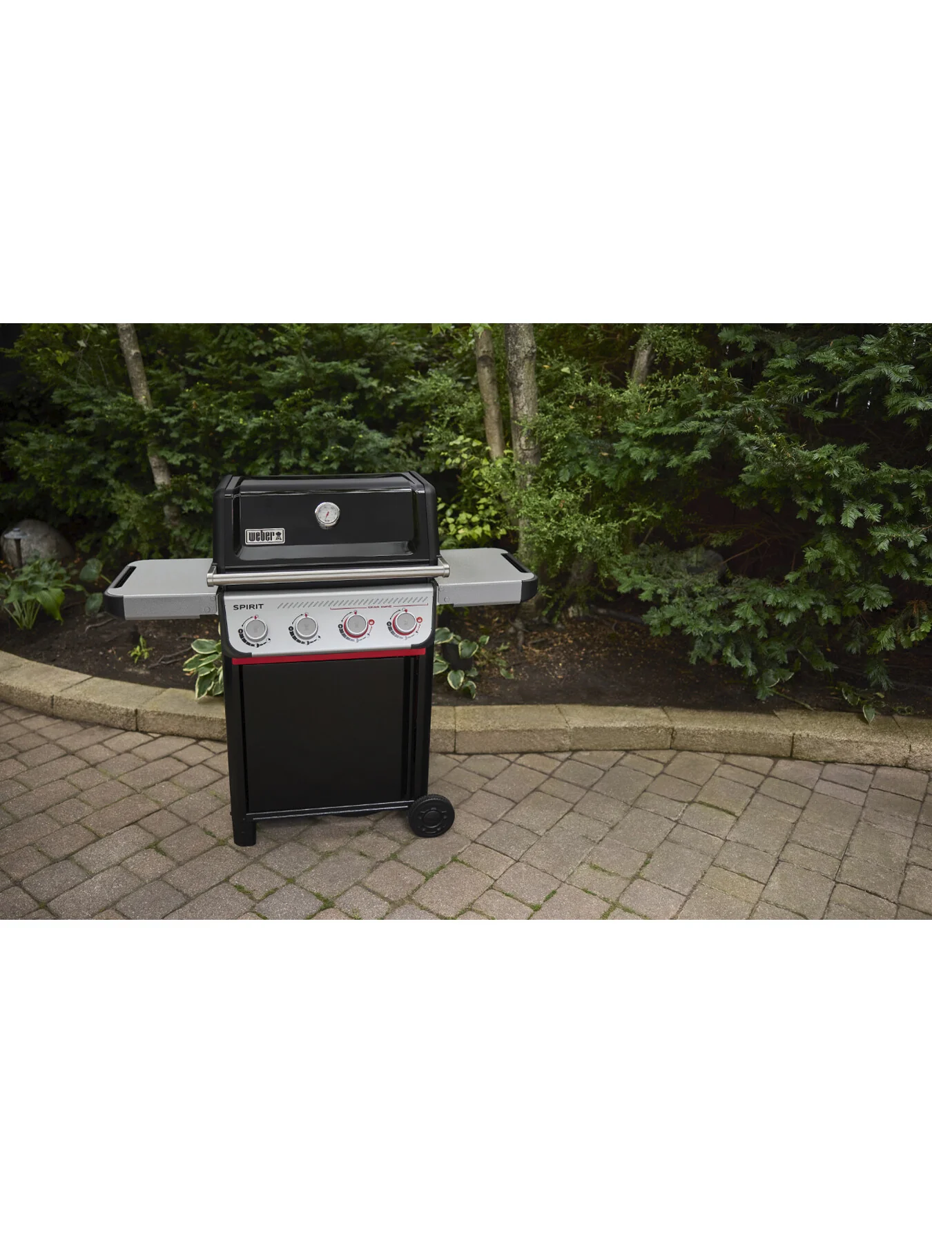 SPIRIT E-425 Barbecue - Image 3