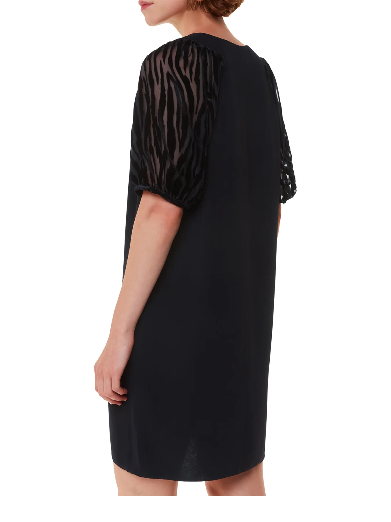 Lucy Zebra Velvet Sleeve Dress Black - Image 3