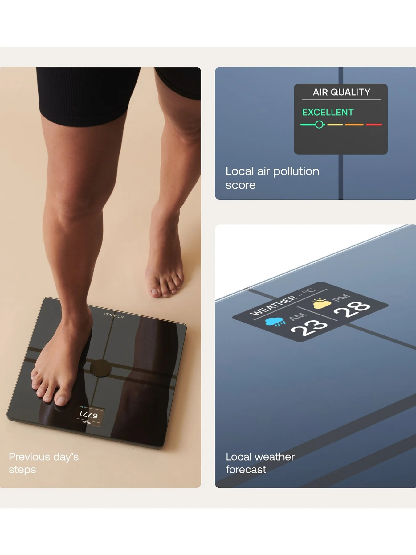 Body Comp Scale Black - Image 9