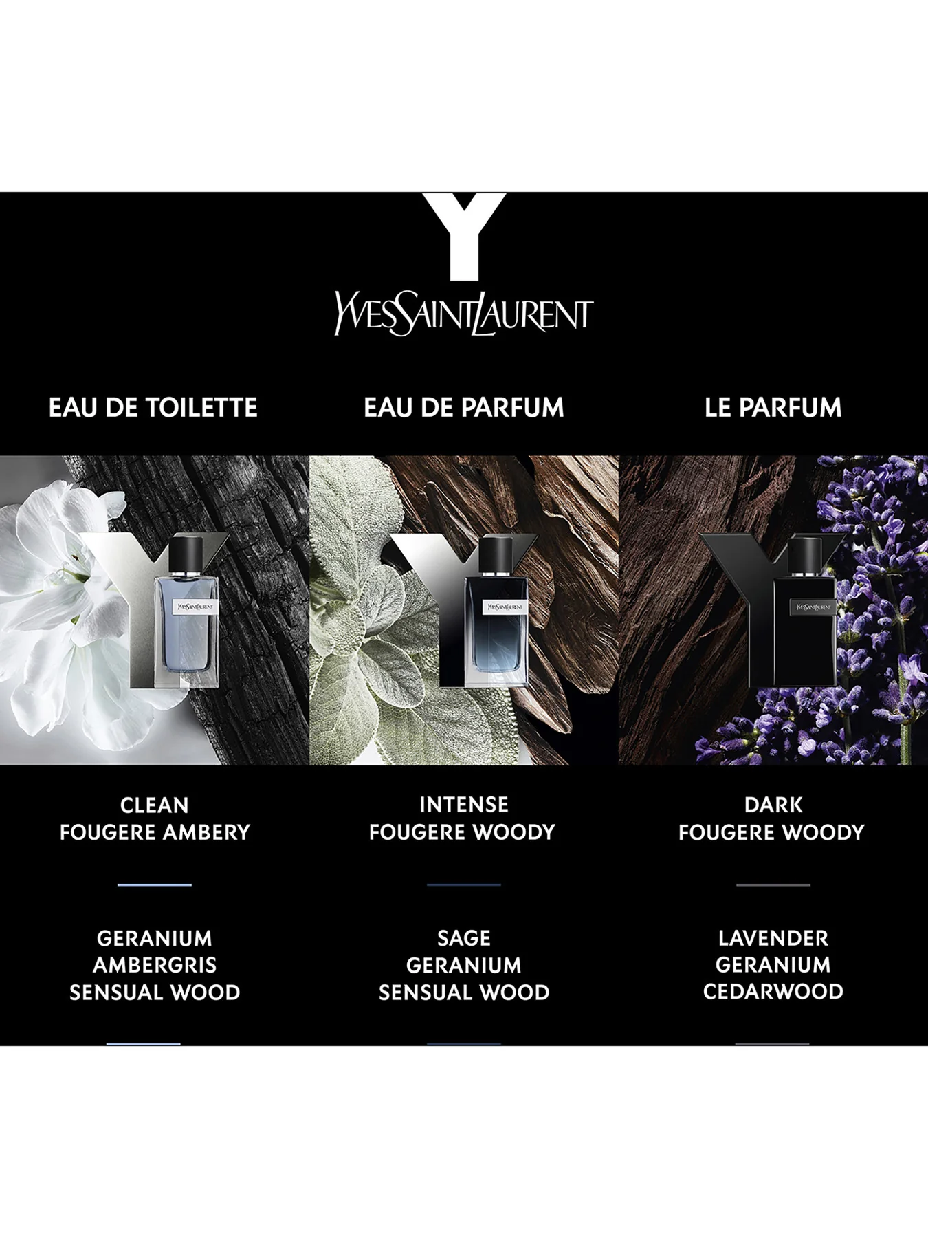 Y Men Eau de Parfum 200ml - Image 3