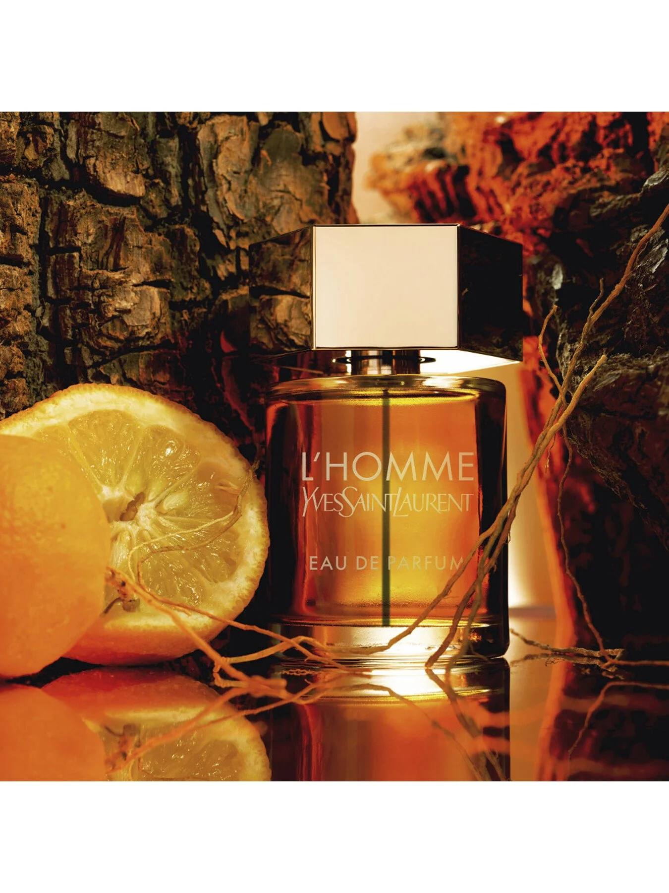 L'Homme Eau de Parfum Intense 60ml - Image 5
