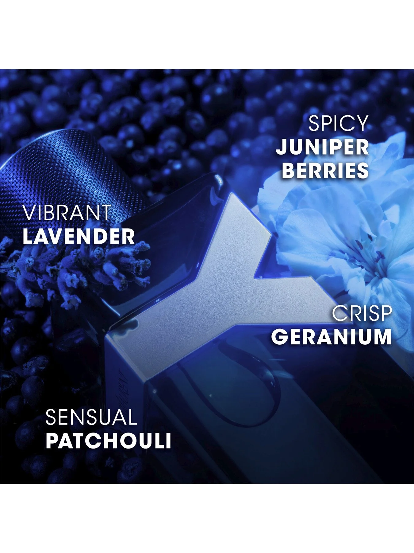 Y Eau de Parfum Intense 100ml - Image 3